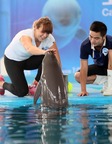 球队其他球 球队其他球