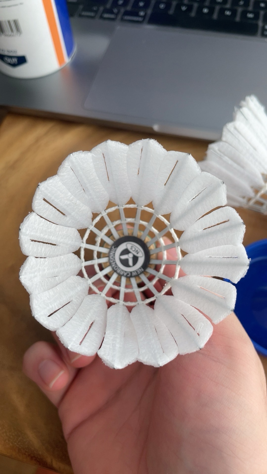 我想起了在 我想起了在